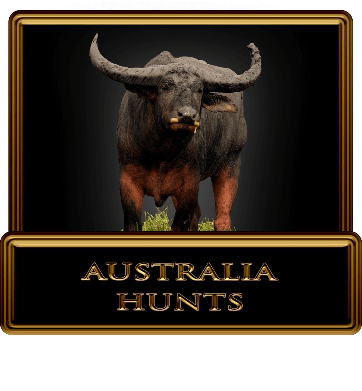 AUSTRALIAHUNTS Legacy Outdoors