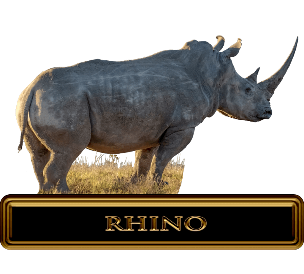 Giant-Africa-Rhino