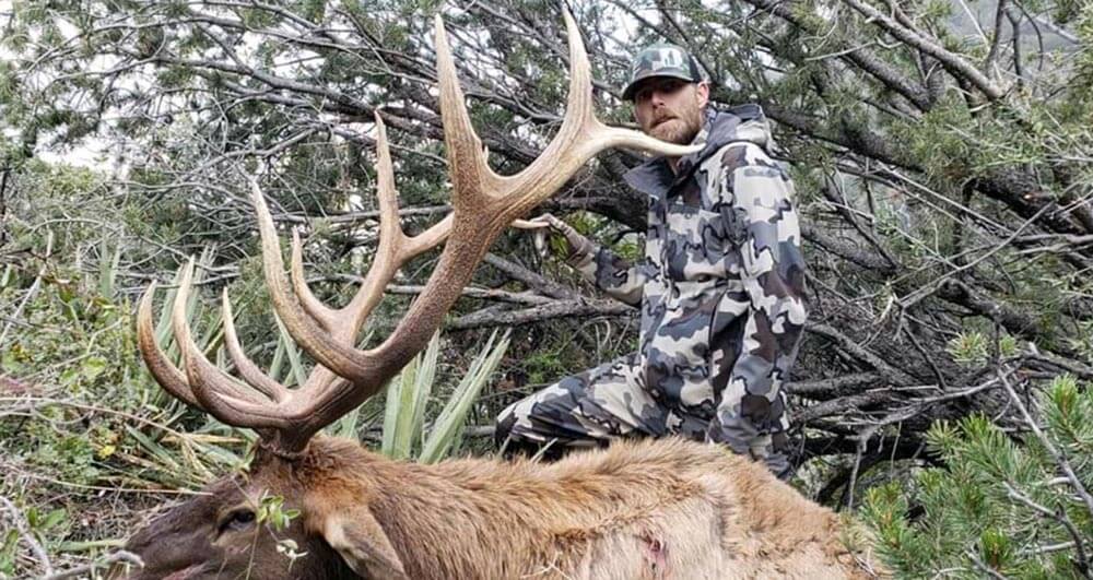 guided elk hunts guided elk hunts