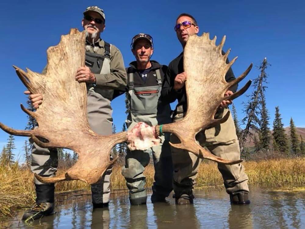 moose and elk hunting trips