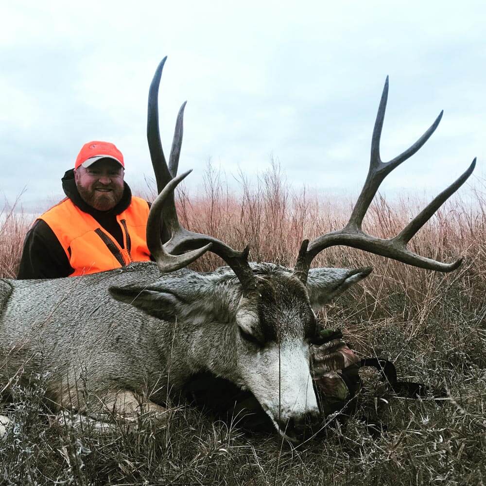 Best Mule Deer Hunts! Top Outfitters and Hunts!